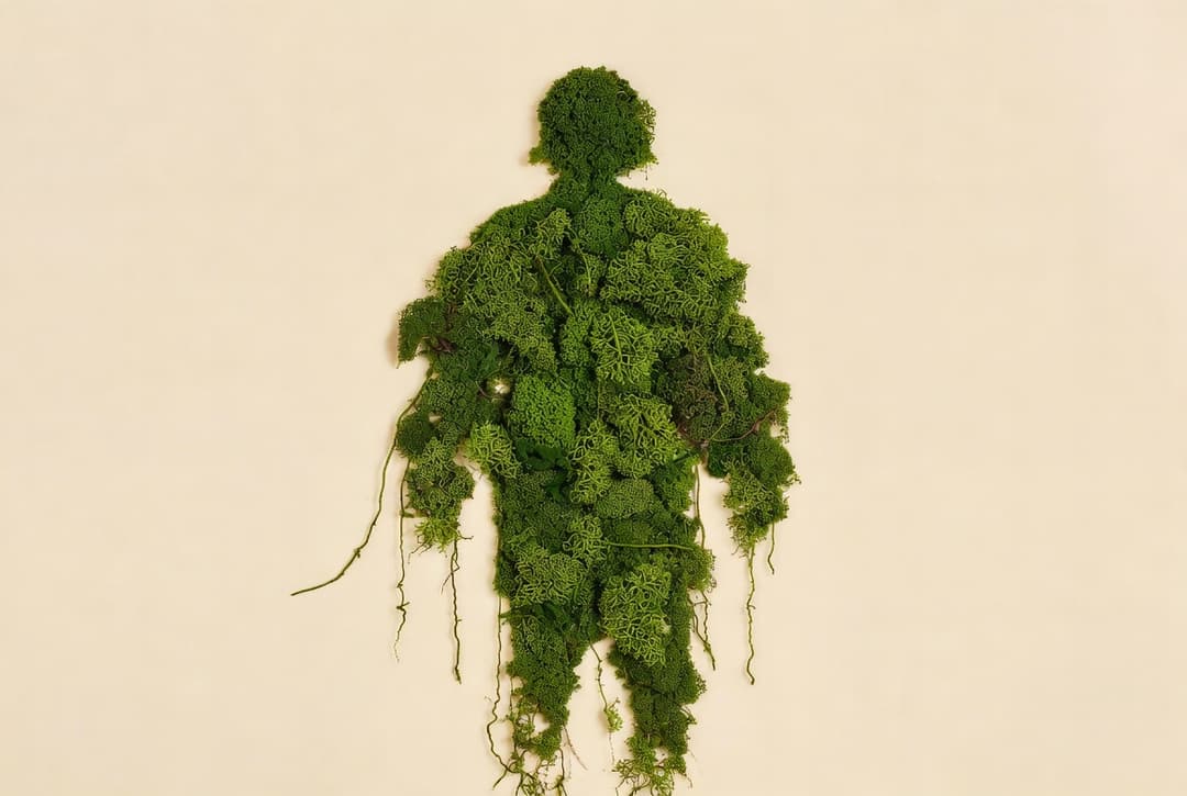 Силуэт человека из мха — символ осознанного отслеживания состояния
